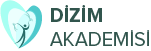 Dizim Akademisi Logo